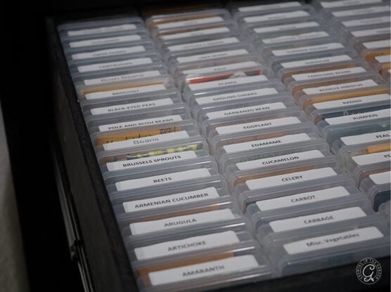 Seed Storage Boxes featured image