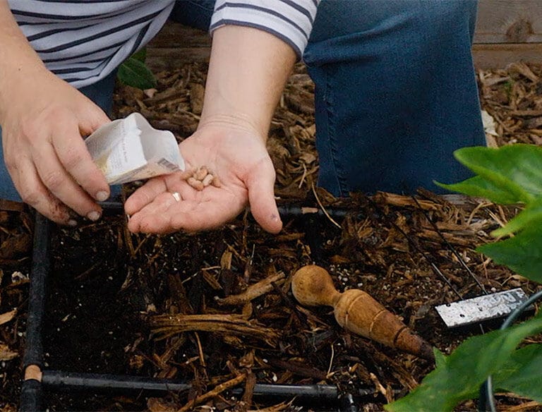 Gardening Basics Tile
