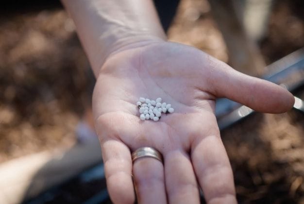 Seeds & Planting Tile