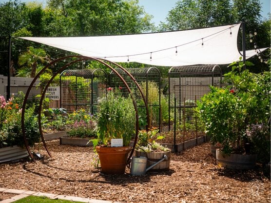 Shade Cloth featured image