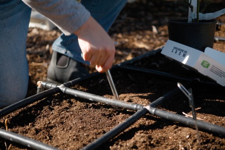 Soil Testing: When & How to Test Your Soil featured image