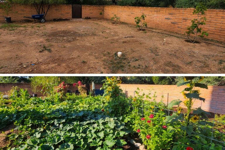 Sunken Garden Beds: Water-Wise Gardening in the Desert featured image