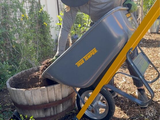 True Temper Wheelbarrow featured image