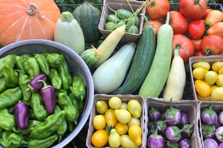 Vegetable Gardening in Arizona (2025 Guide for Desert Gardeners) featured image