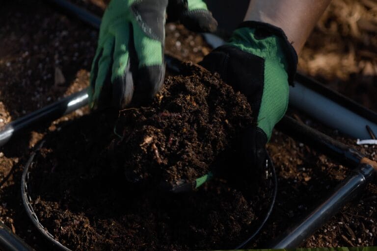 Vermicomposting Made Easy: In-Bed Worm Composting featured image