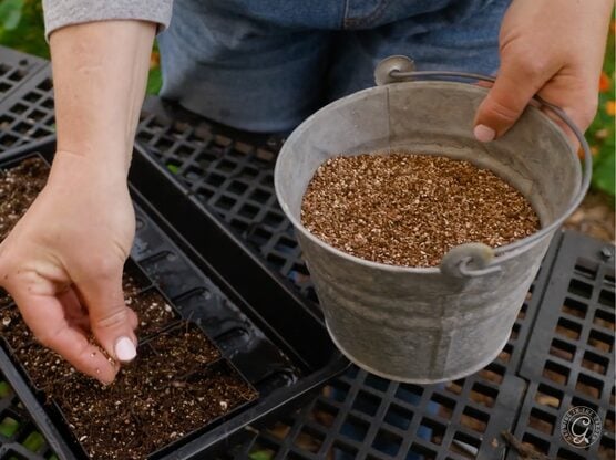 Vermiculite for Seed Starting featured image