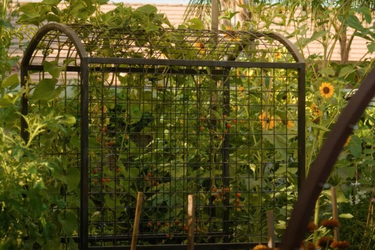 Vertical Gardening Ideas: 10 Ways to Add Vertical Space to Your Garden featured image