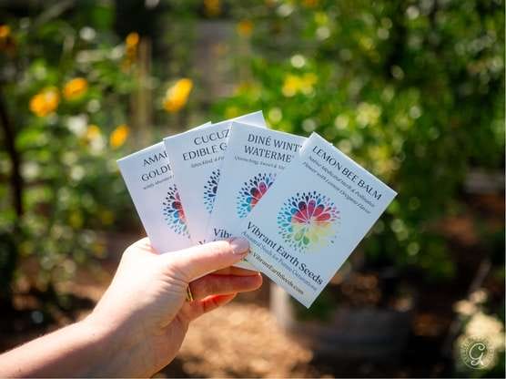 Vibrant Earth Seeds featured image