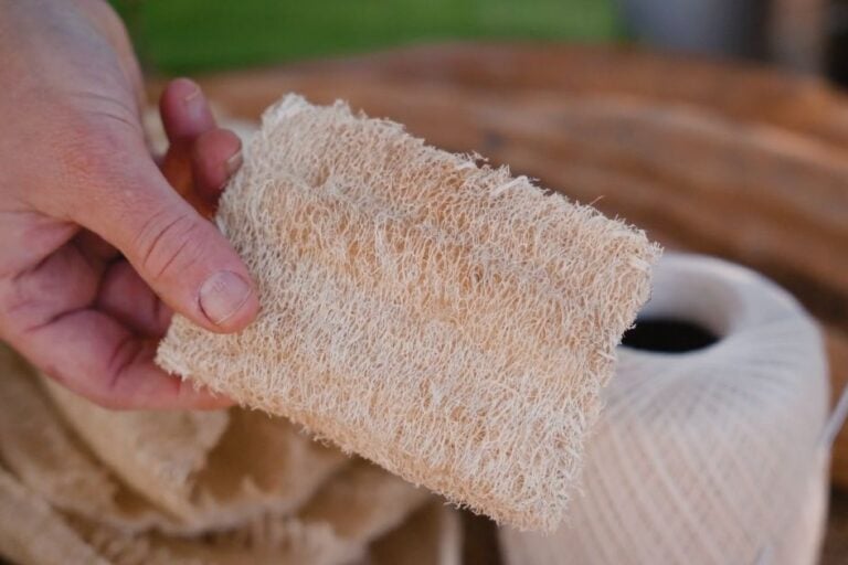 What to Do With Loofah (and How to Use It!) featured image