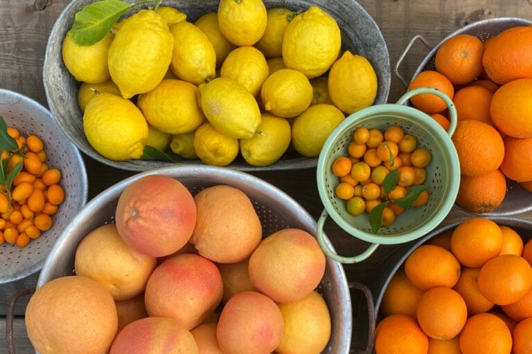 What to Plant for Year-Round Fruit Tree Harvests in Arizona featured image