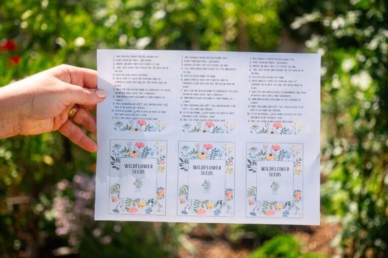 Holiday Neighbor Gift: Wildflower Seed Packets featured image