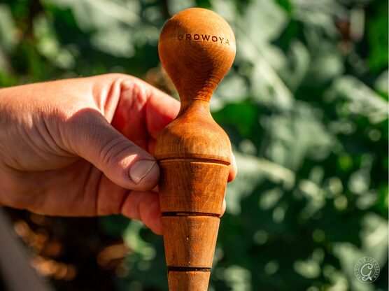 Wooden Dibber featured image