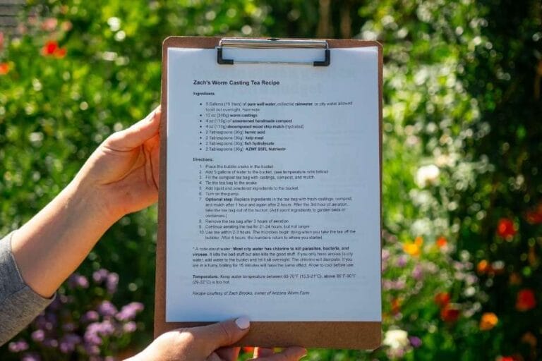 How & Why to Make Worm Castings Tea featured image