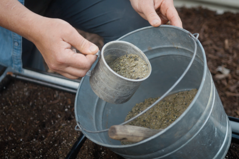 Amending Soil: Preparing Your Garden Before Planting featured image