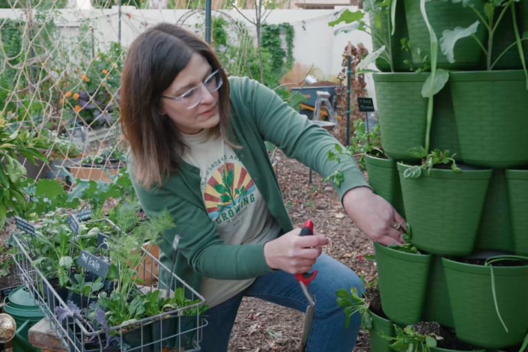 GreenStalk Tips for Hot Climates featured image